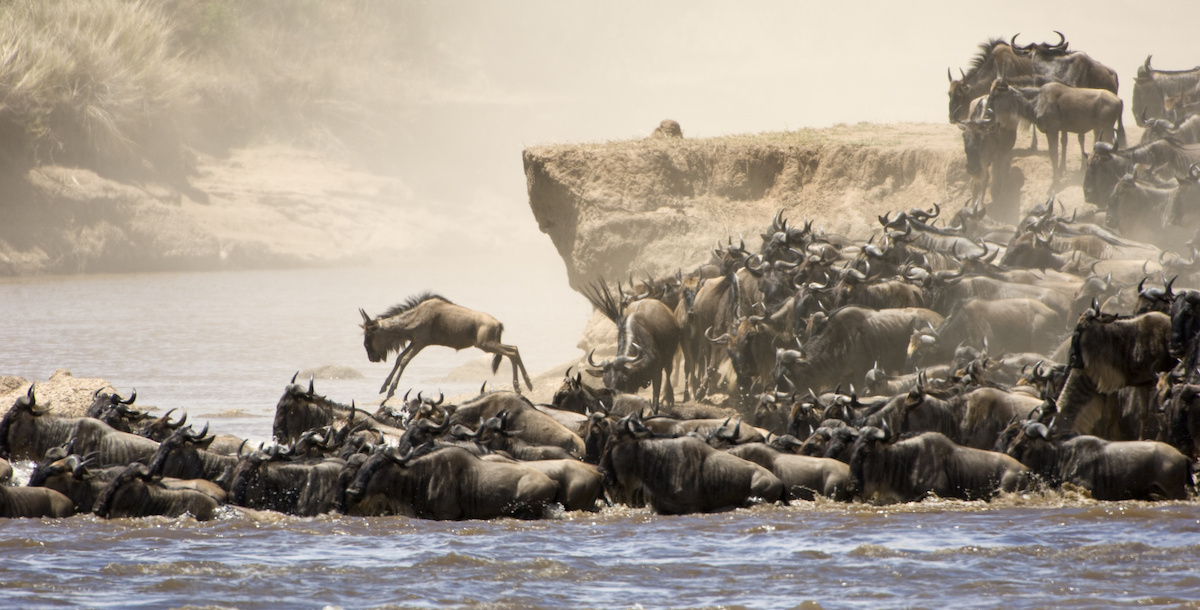 The Heart of Africa’s Serengeti Ecosystem Under Threat From Human Related Activities.