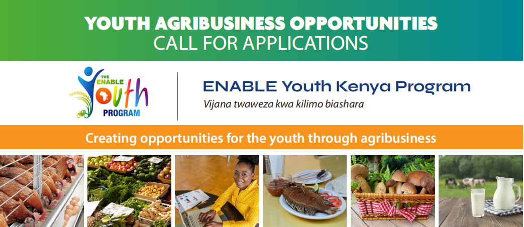 Government Youth Agribusiness Opportunities Applications