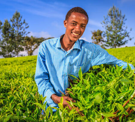 Farmers Reap Benefits from Modern Farming Approach