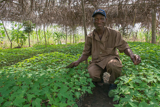 Farmers Reap Benefits from Modern Farming Approach