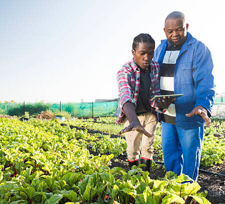 Promoting Contract Farming in Murang’a County.