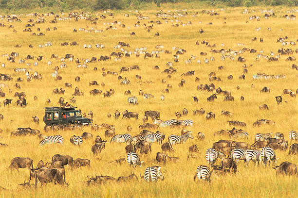 Tourism CS Seeks Support for Wildlife Census