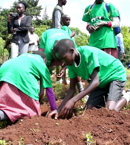 Presidential Awardee Leads Tree Planting Campaign in Homa Bay