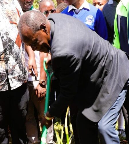 Vihiga County Plants 1,500 Bamboo Seedlings at Kaimosi Wetlands